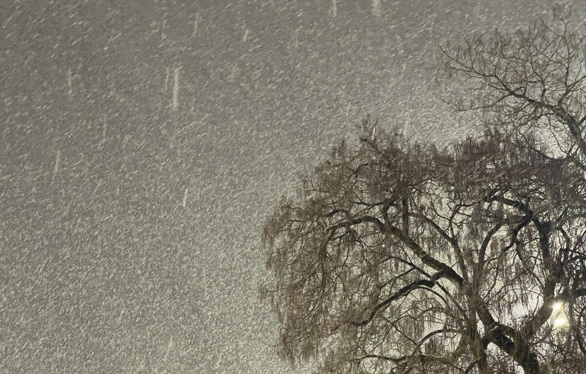  &copy; Alexane Alfaro