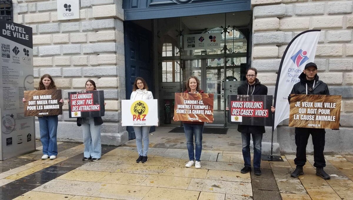 Mobilisation le 25 octobre 2025 devant l’Hôtel de Ville de Besançon à l’occasion des municipales 2026. &copy; PAZ