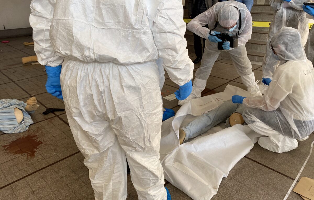  &copy; Hélène Loget