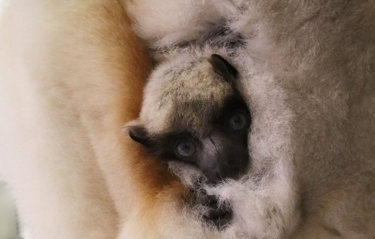  &copy; Citadelle de Besançon