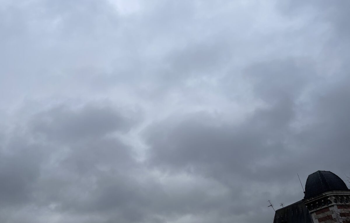  &copy; Alexane Alfaro