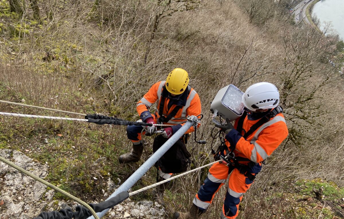  &copy; Alexane Alfaro