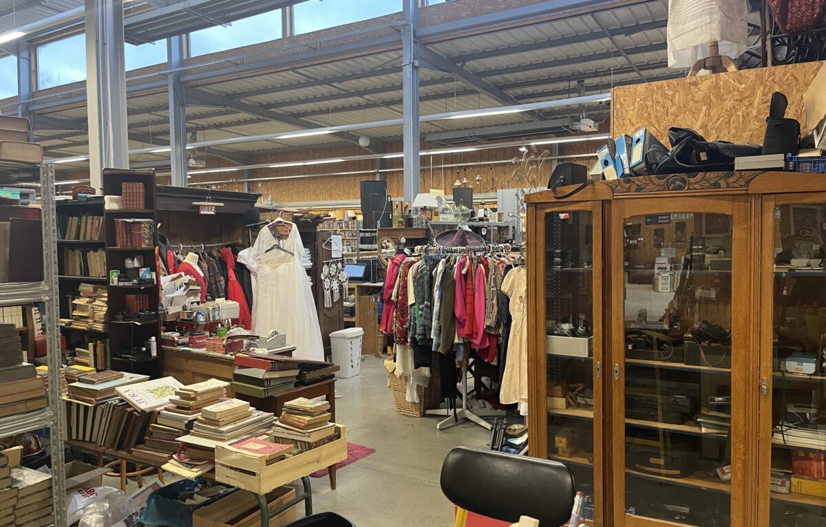  &copy; Alexane Alfaro