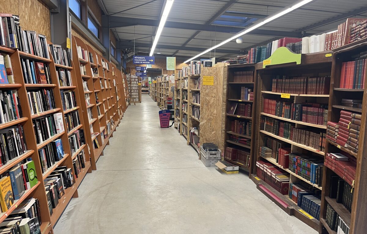  &copy; Alexane Alfaro