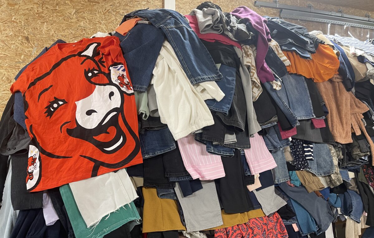  &copy; Alexane Alfaro