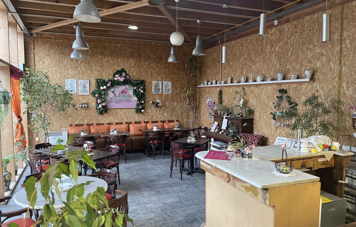  &copy; Alexane Alfaro