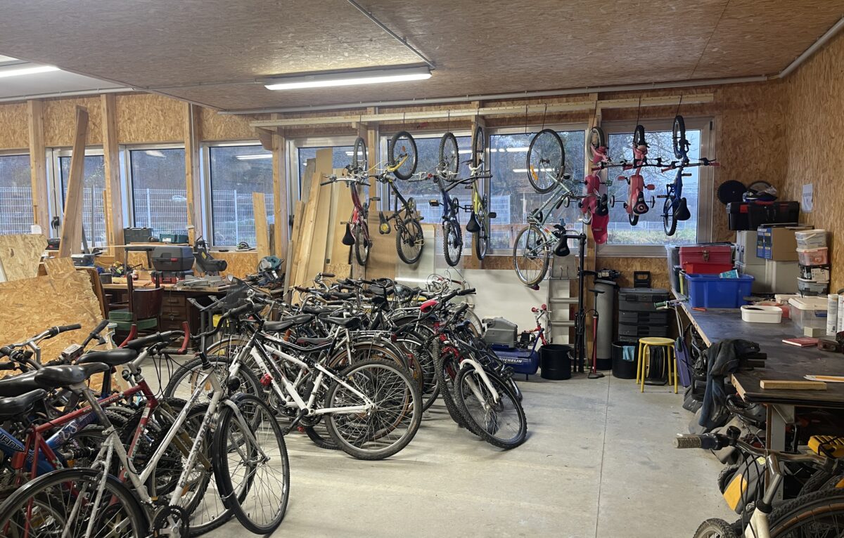  &copy; Alexane Alfaro