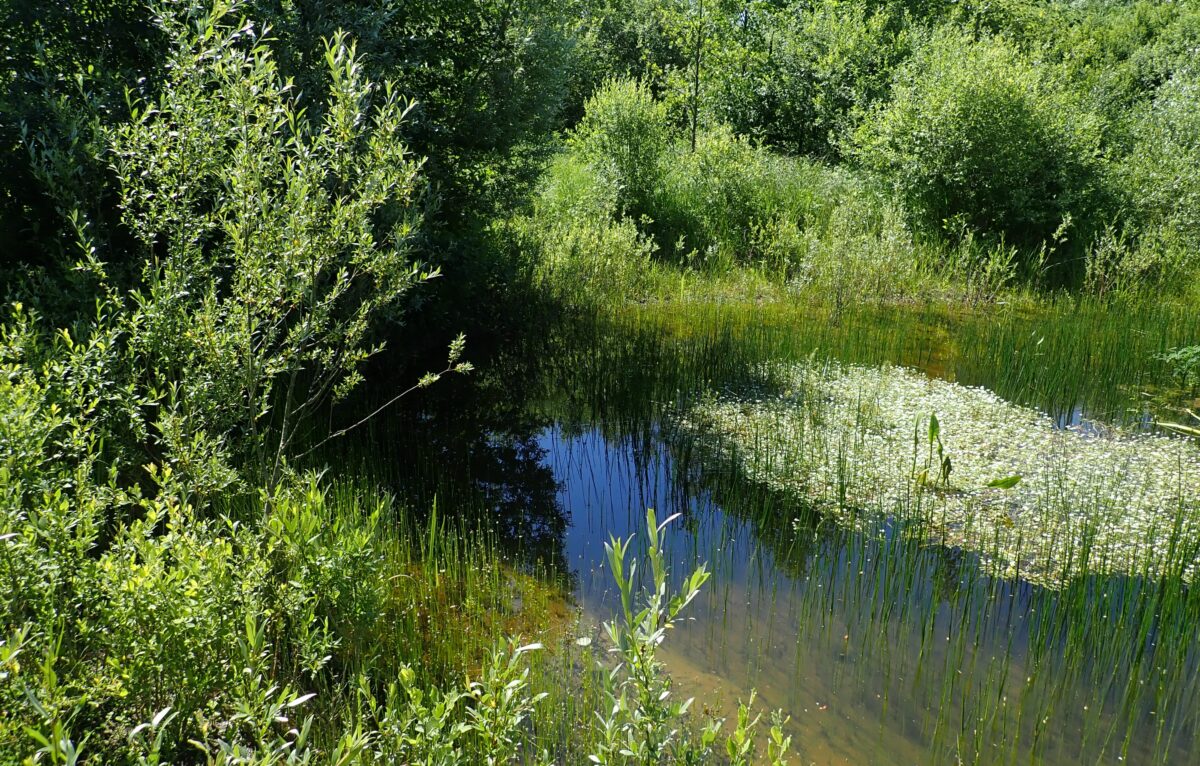  &copy; Conservatoire d’espaces naturels de Bourgogne