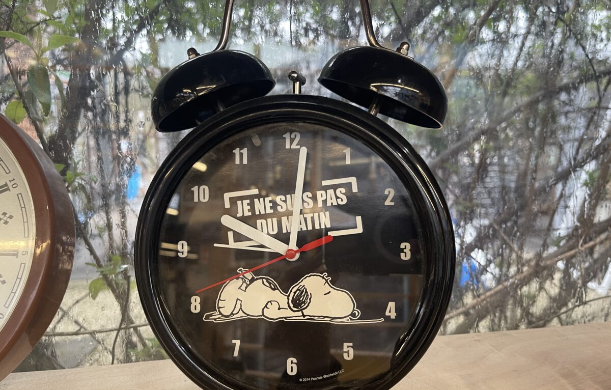  &copy; Alexane Alfaro