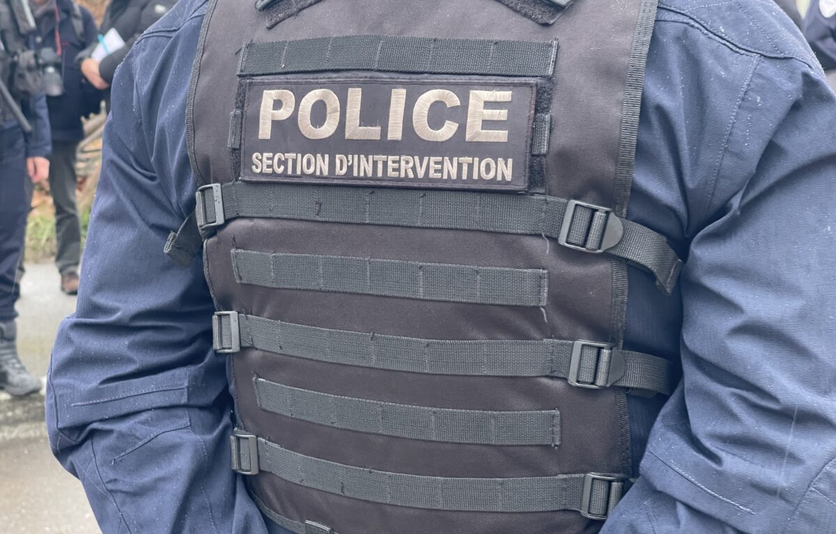  &copy; Alexane Alfaro