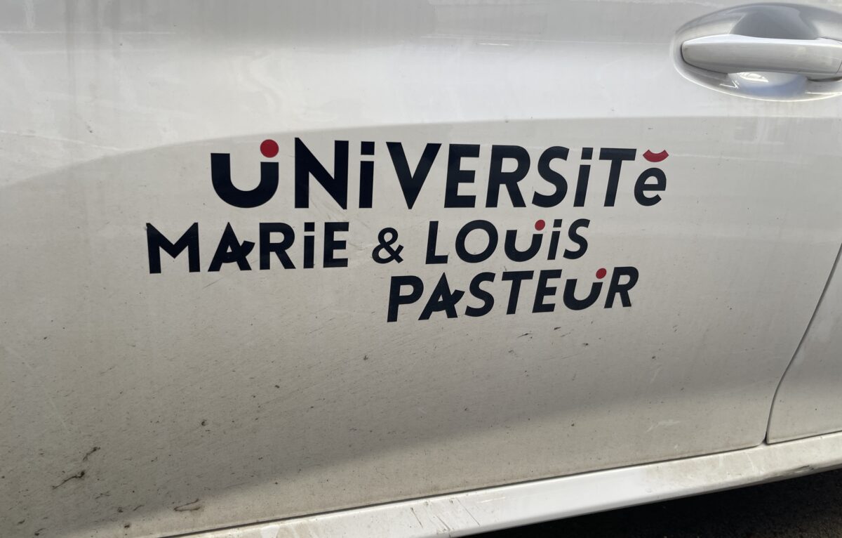  &copy; Alexane Alfaro