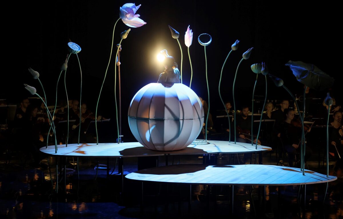 Spectacle Momo.  &copy; Helen Hebert