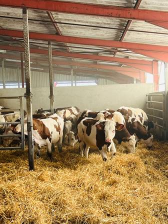  &copy; DR - Yves Maurice