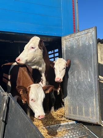  &copy; DR - Yves Maurice