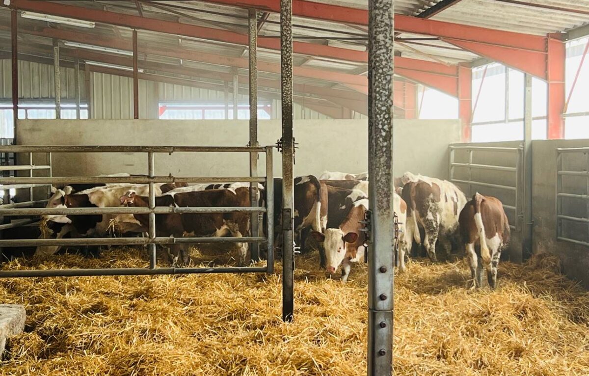  &copy; DR - Yves Maurice