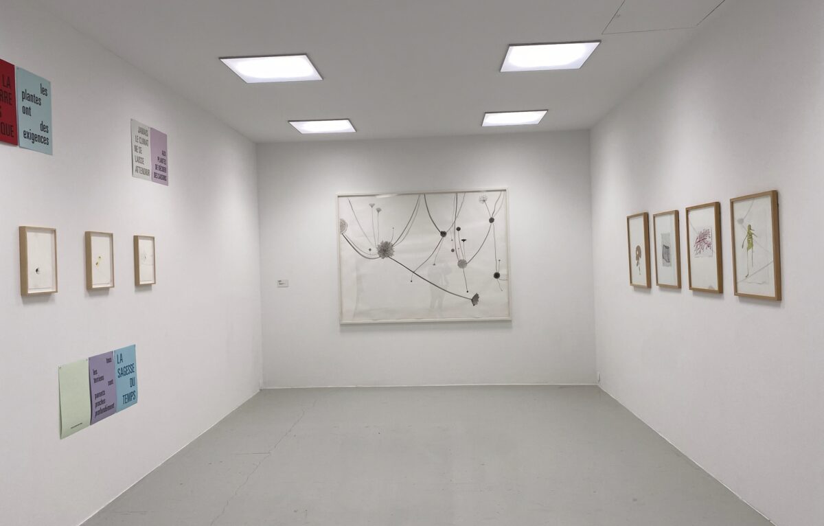  &copy; Hélène Loget