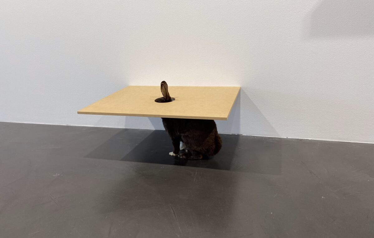  &copy; Hélène Loget