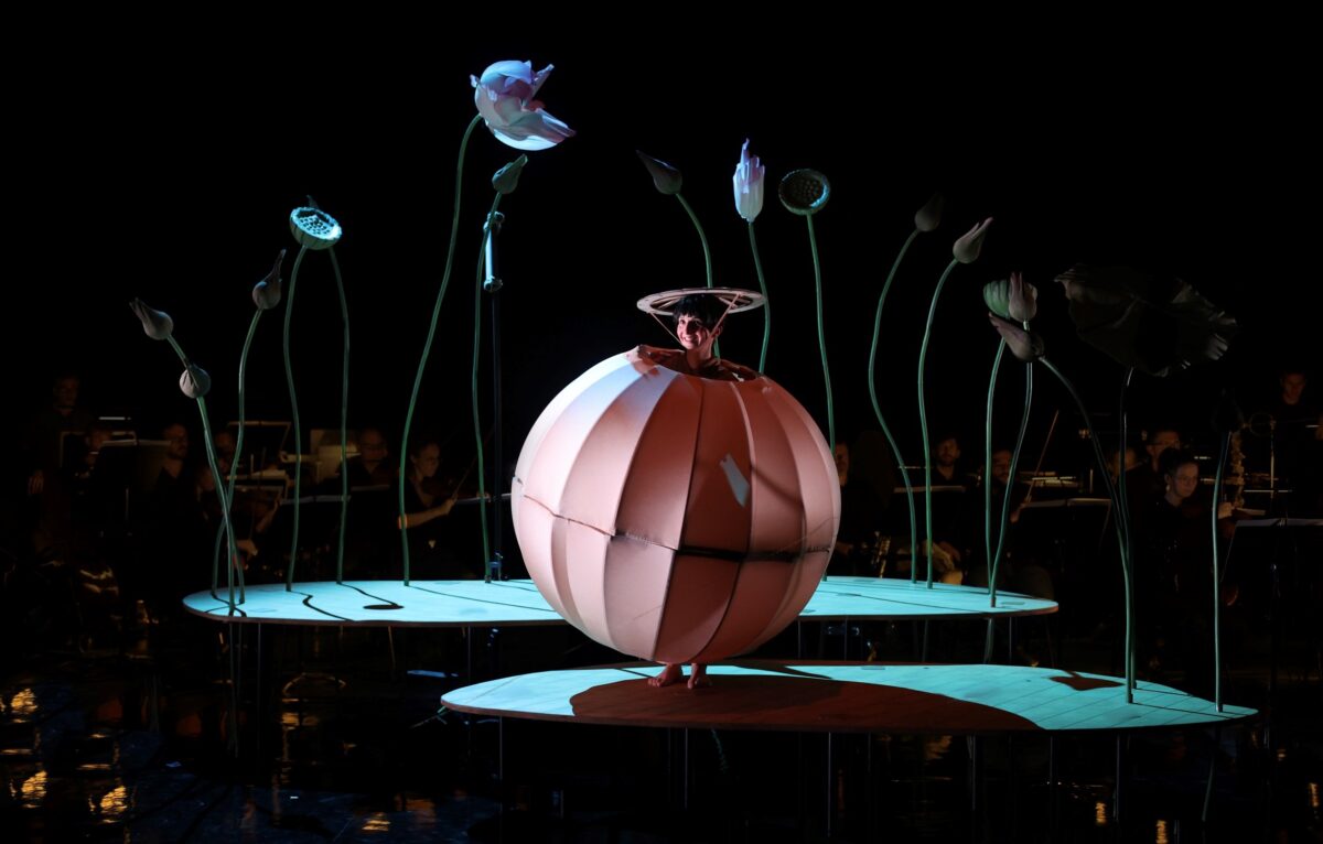 Spectacle Momo.  &copy; Helen Hebert