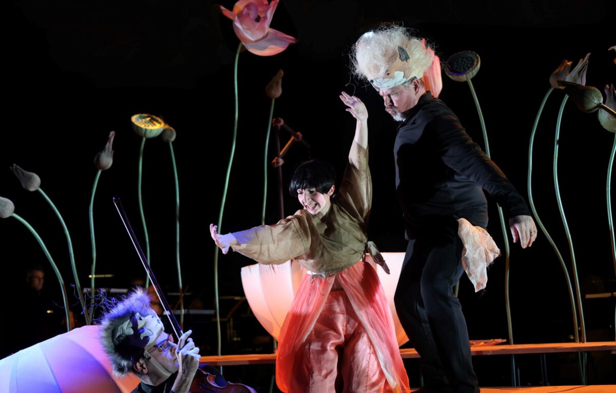 Spectacle Momo.  &copy; Helen Hebert