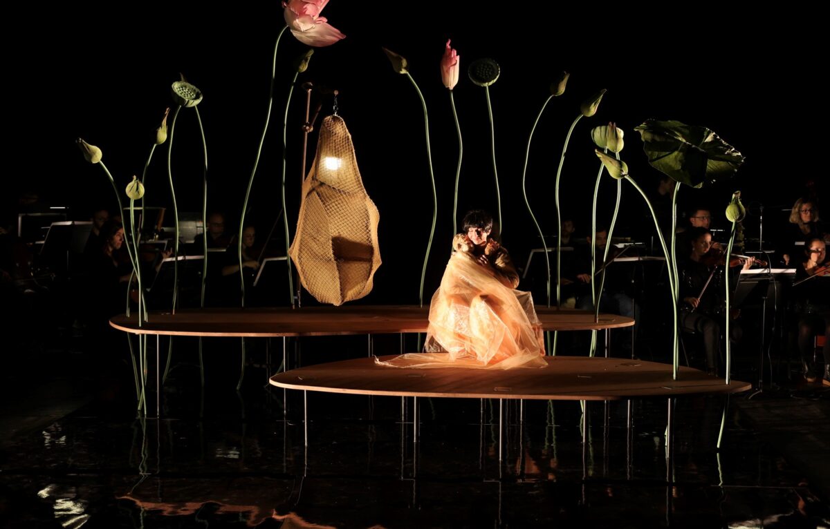 Spectacle Momo.  &copy; Helen Hebert