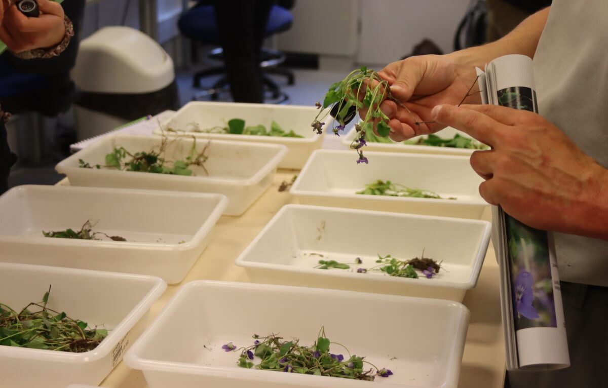  &copy; Justine Amiotte-Suchet