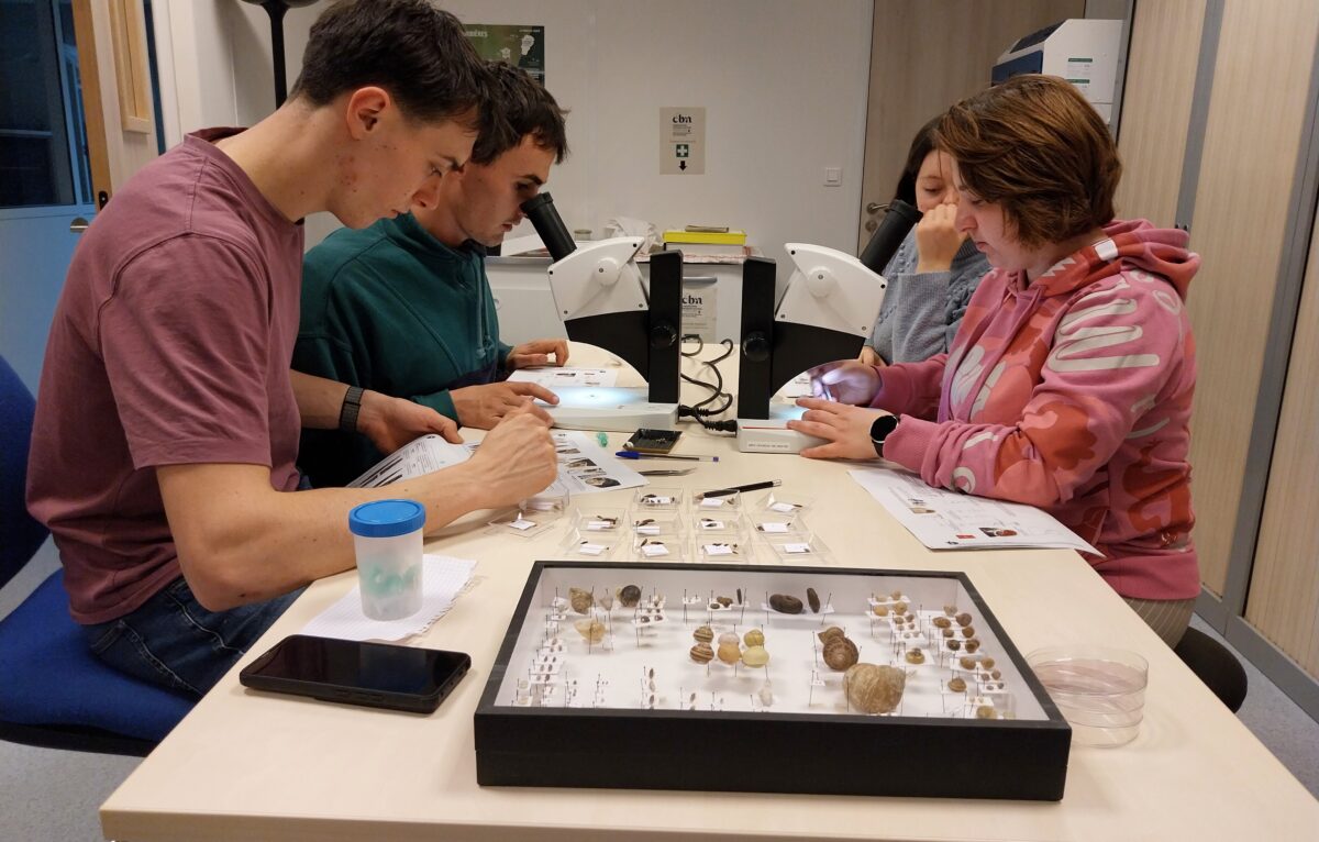  &copy; Julien Ryelandt