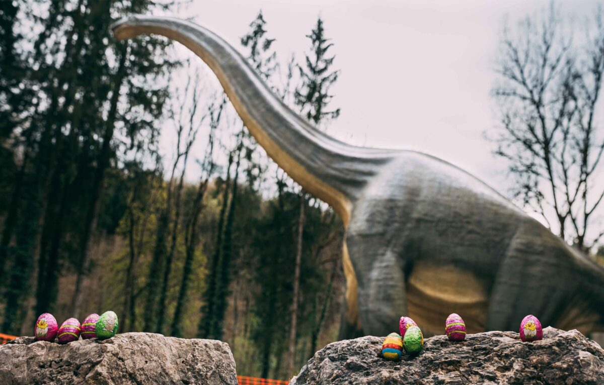  &copy; Pierre Antoine Boillon