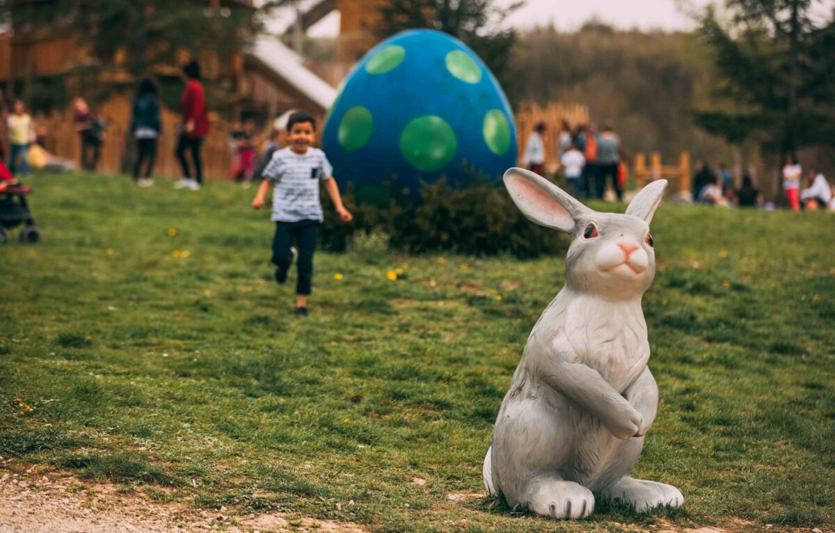  &copy; Pierre Antoine Boillon