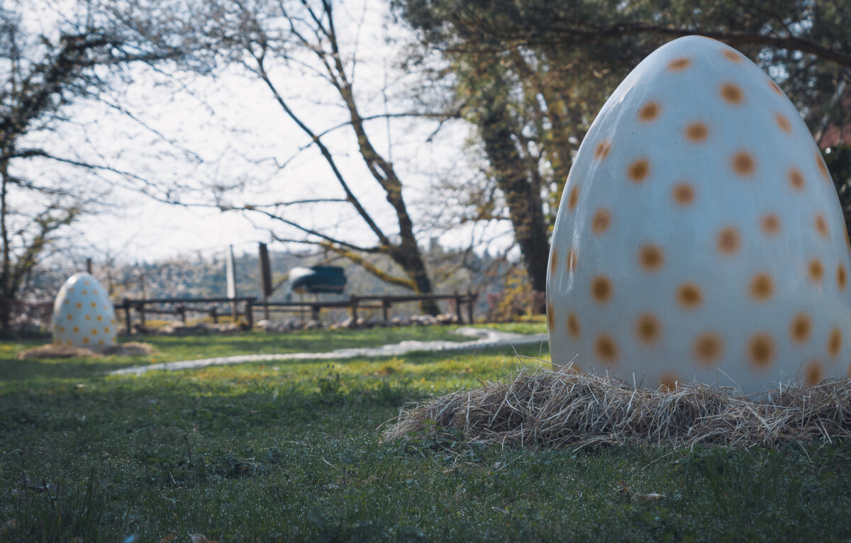  &copy; Maxime Naegely