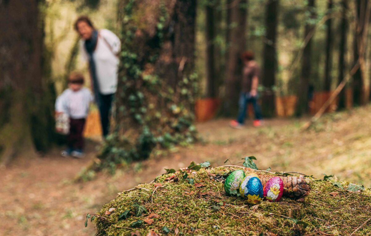  &copy; Pierre Antoine Boillon