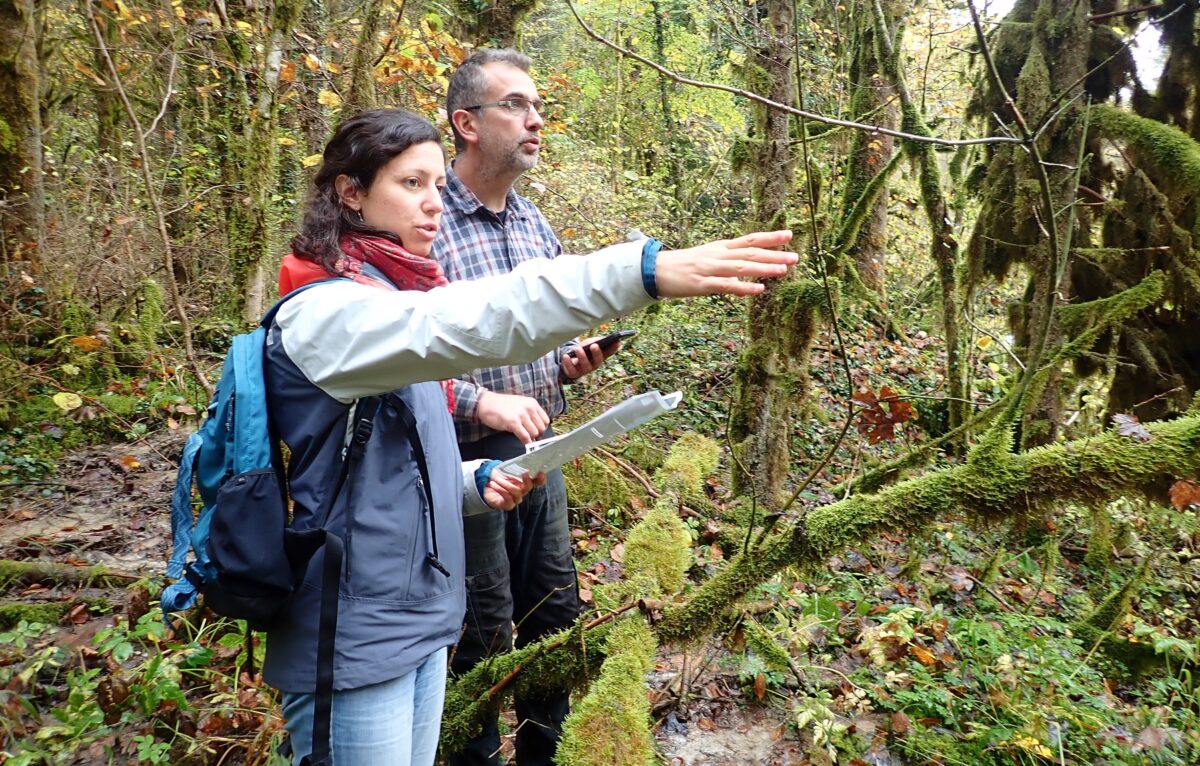  &copy; Tatiana Morvan