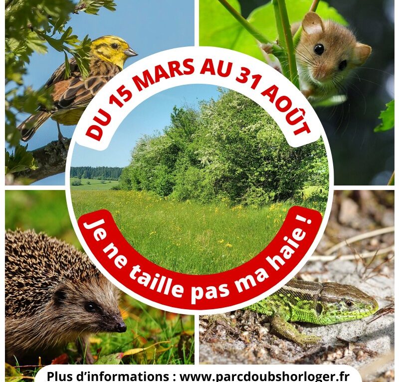  &copy; DR Parc naturel régional du Doubs Horloger