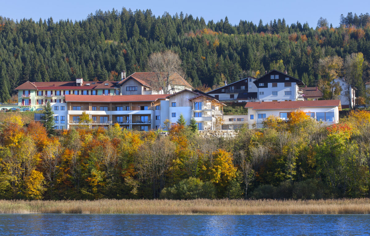  &copy; Les Rives Sauvages