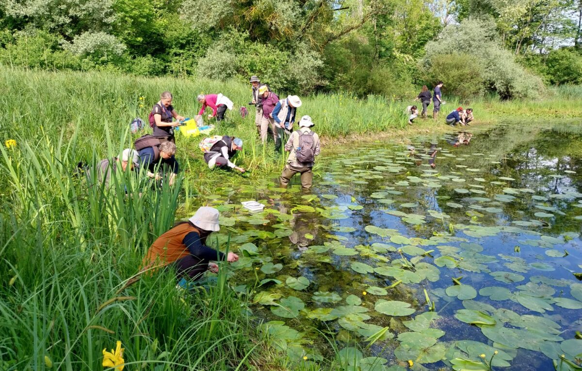  &copy; Julien Ryelandt