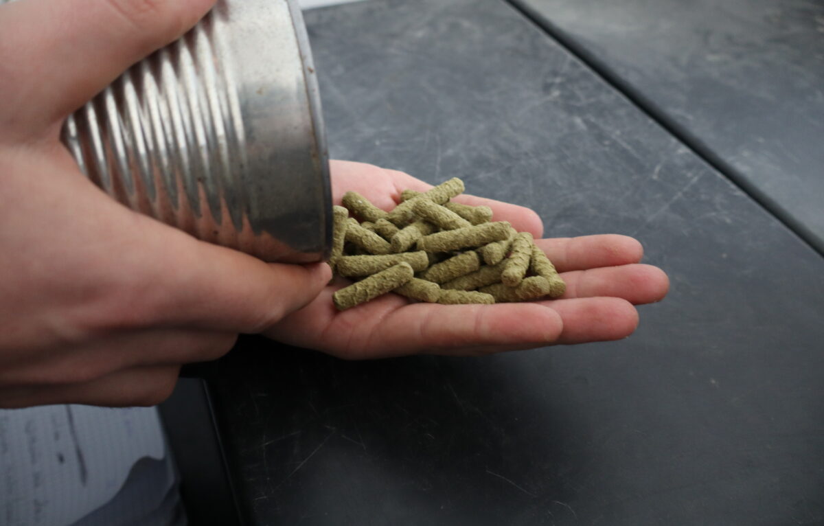 Visites Coulisses &copy; Genevieve Barbarin