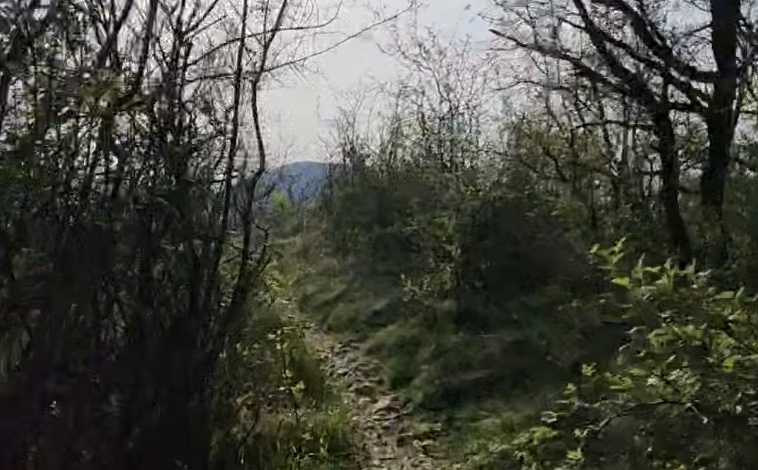  &copy; Trail des Castors