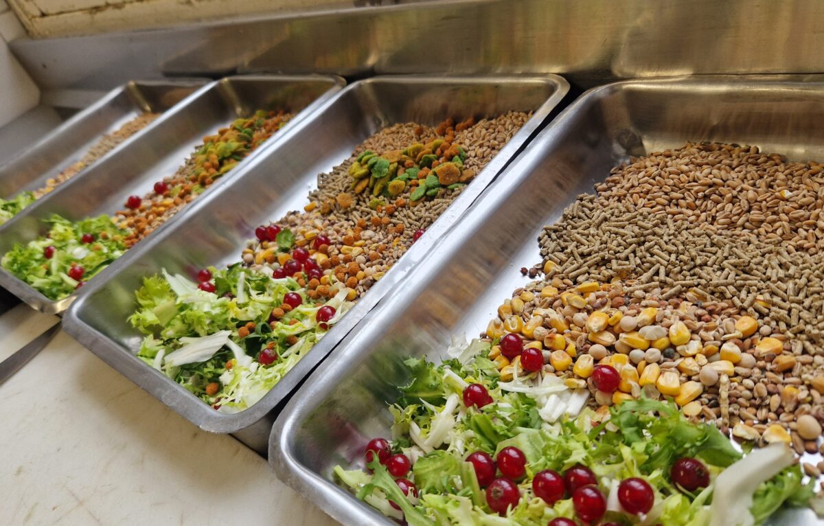 Les Visites Coulisses &copy; Geneviève Barbarin