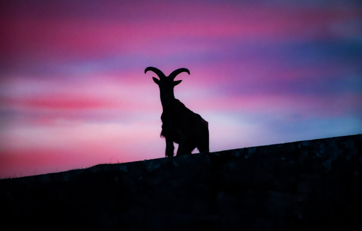 Vites nocturnes à la Citadelle &copy; BENJAMIN_DUCHAINE 