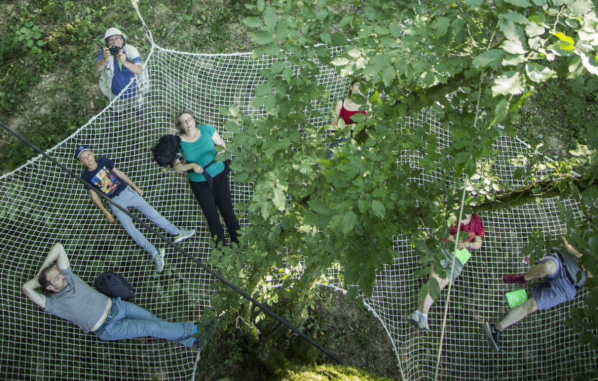  &copy; Arbres–Mondes