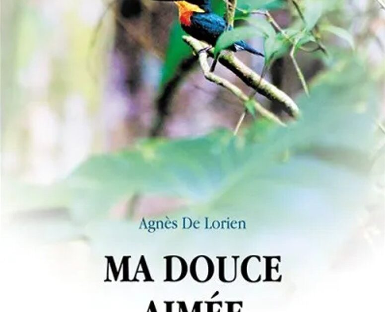 “Ma douce aimée” : l’histoire d’une femme déterminée à fuir un enfer conjugal • macommune.info