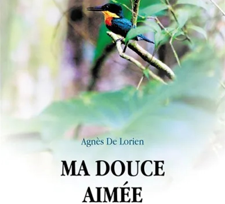  &copy; Éditions Baudelaire - Agnès De Lorien