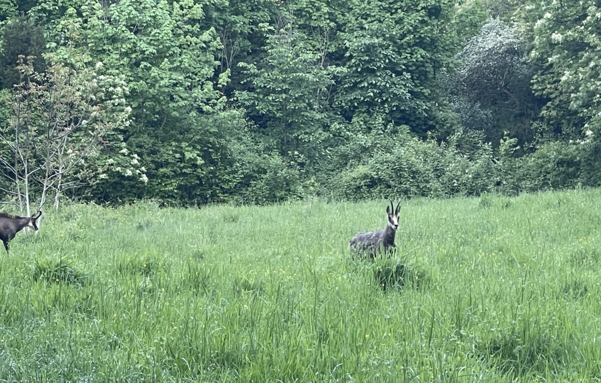  &copy; Alexane Alfaro