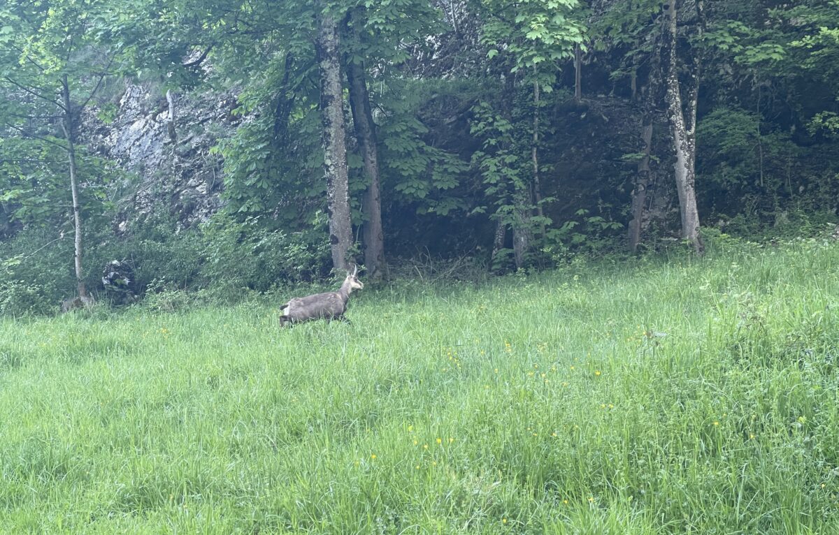  &copy; Alexane Alfaro