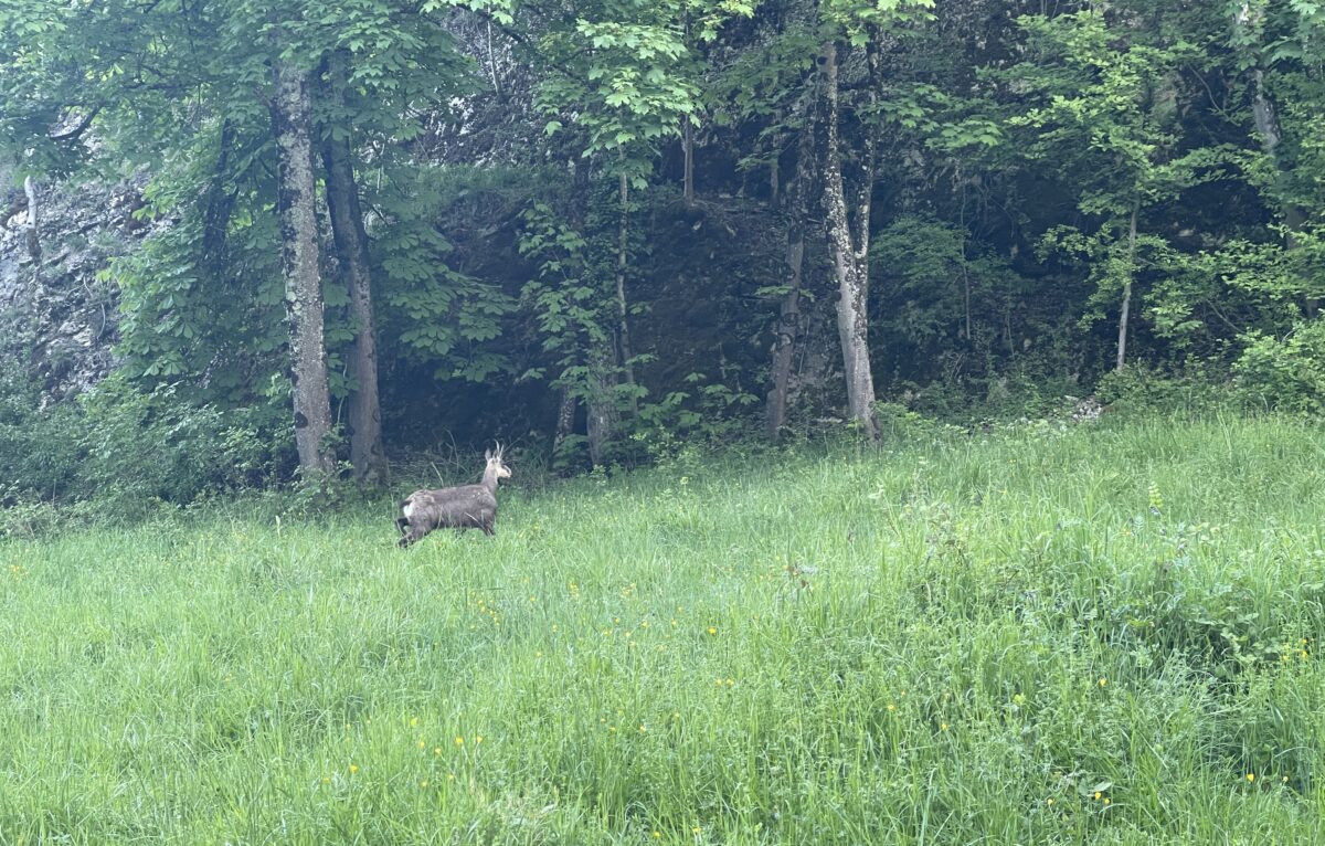  &copy; Alexane Alfaro