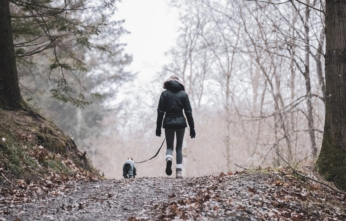  &copy; martindalsgaardsore/Pixabay