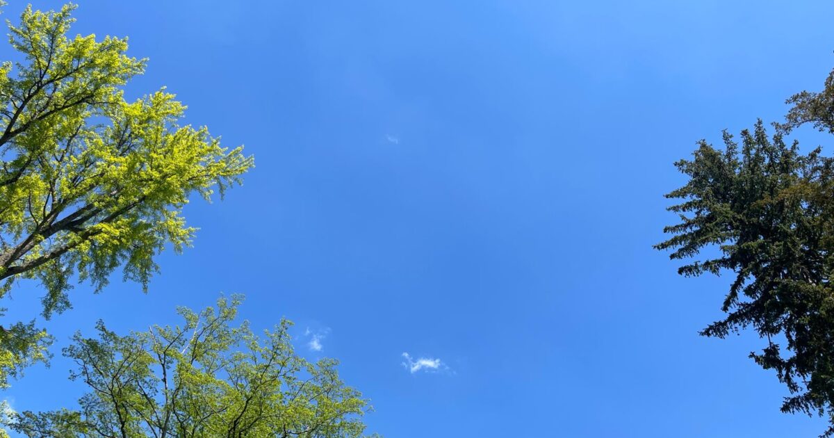 Météo en Franche-Comté : un week-end globalement printanier, entre éclaircies et nuages • macommune.info