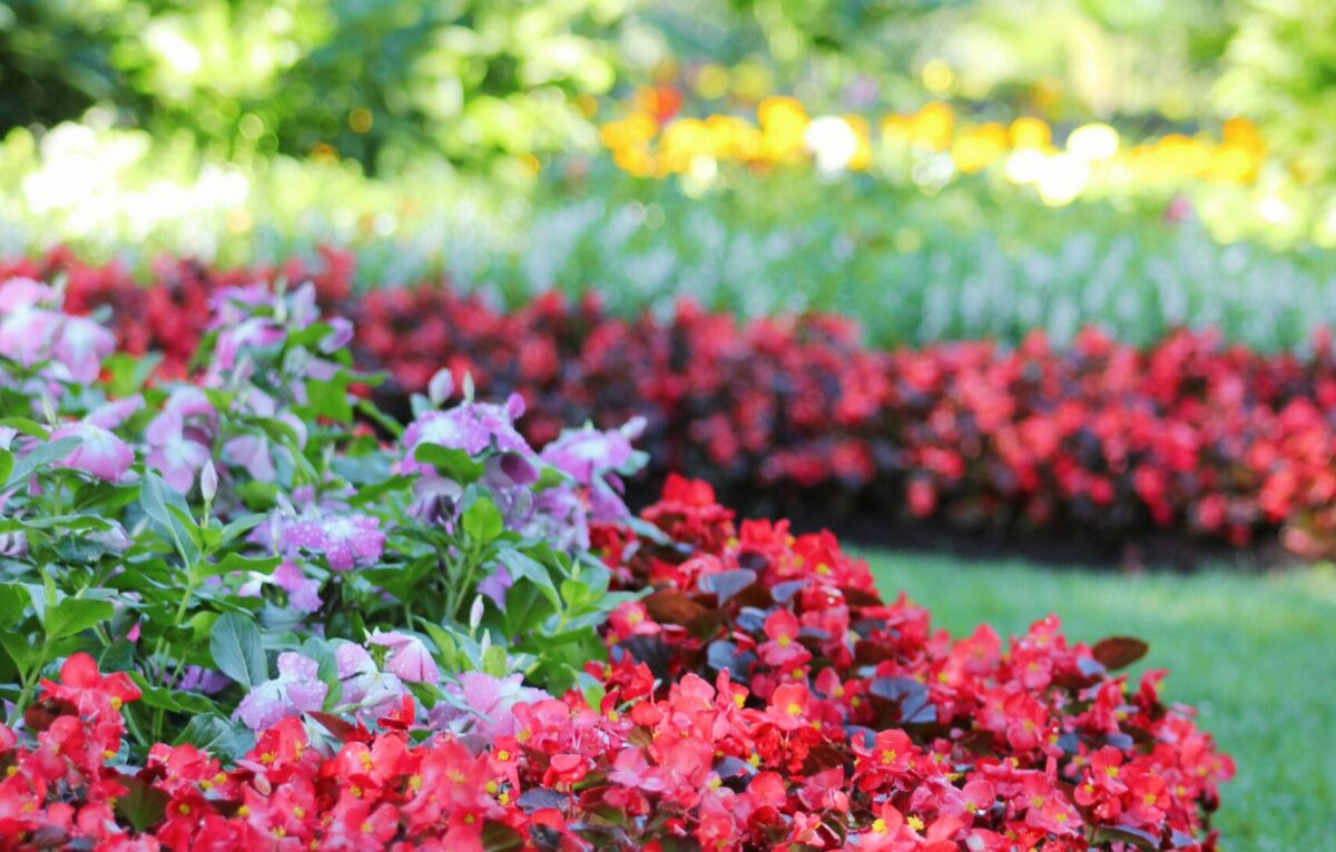  &copy; Photo Pexels / Alex Ohan