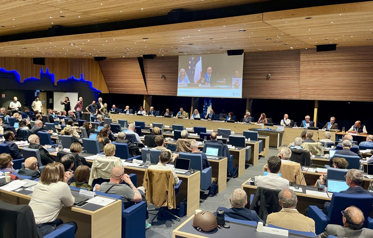  &copy; Alexane Alfaro