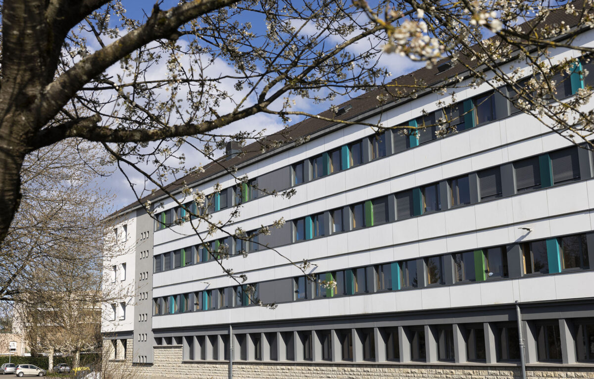  &copy; David Cesbron