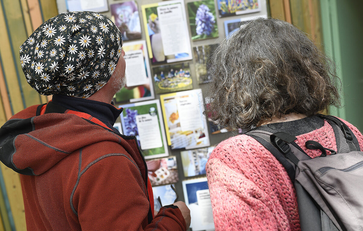 Maison de l'environnement à Belfort &copy; Jean-François Lami